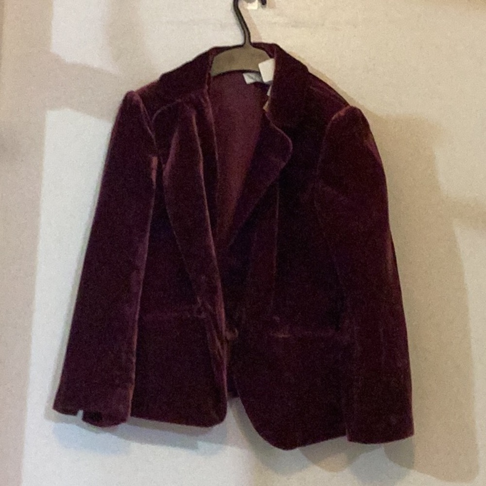 Women's Burgundy Anne Taylor's Loft Velvet Blazer
